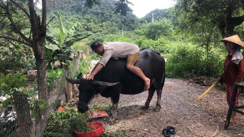 Ninh Binh Backroad Jeep Tour Full Day Highlight & Hidden Gem - Local Farming Activities