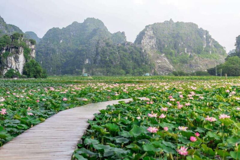 Ninh Binh : Bai Dinh Pagoda, Trang An, and Mua Cave Tour - Trang An Scenic Landscape Complex: Boat Cruise