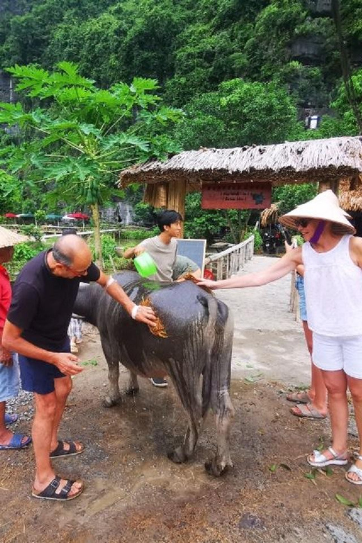 Ninh Binh : Countryside Tour by Motorcycle - Buffalow Riding - Itinerary Highlights