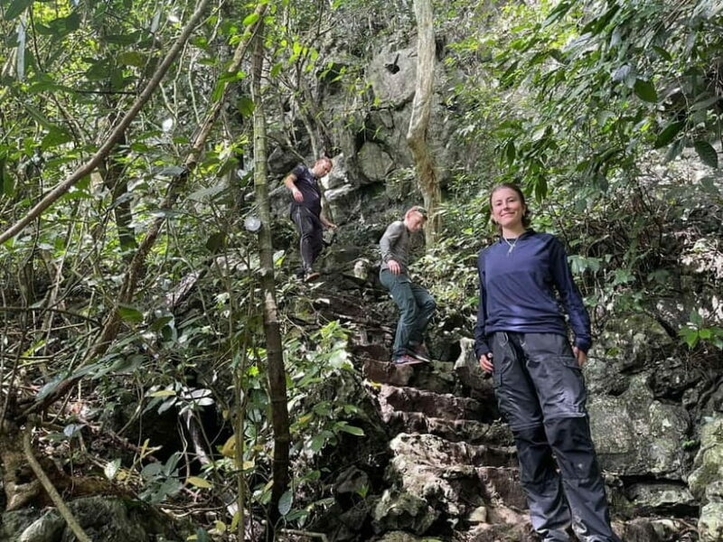 Ninh Binh: Cuc Phuong Jungle Hike & Wildlife Day Trip - Exploring Nature: Botanical Gardens, Caves, and Giant Trees
