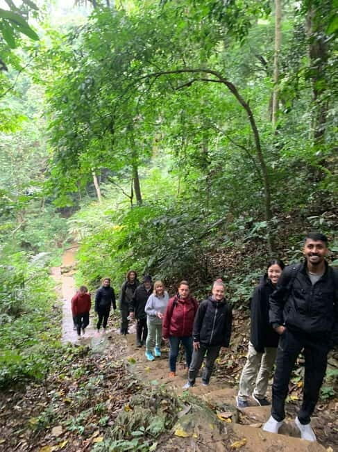 Ninh Binh: Cuc Phuong Jungle Hike & Wildlife Day Trip - Ancient Caves and Prehistoric Sites