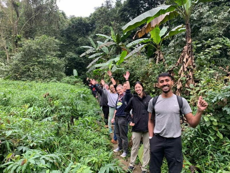 Ninh Binh: Cuc Phuong Jungle Hike & Wildlife Day Trip - Optional Activities & Return Journey