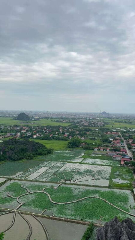 Ninh Binh, Cuc Phuong National Park 2-Day With Female Guide - Visiting the Endangered Primate Rescue Centre