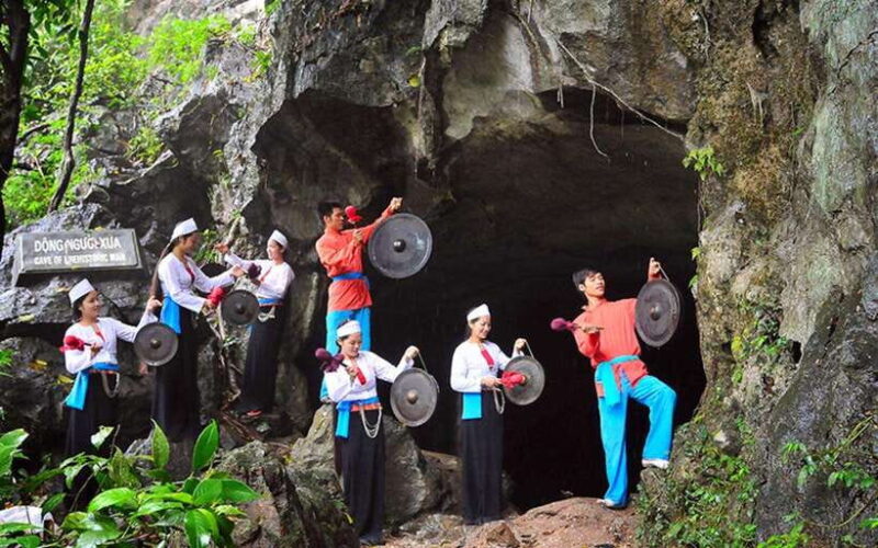 Ninh Binh: Cuc Phuong National Park Day Trip With Lunch - Highlights of the Tour