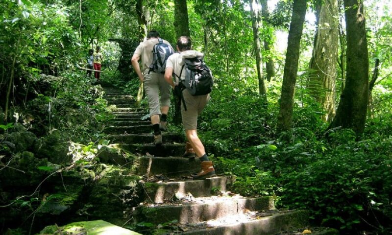 Ninh Binh: Cuc Phuong National Park One Day Small Group Tour - Itinerary Highlights