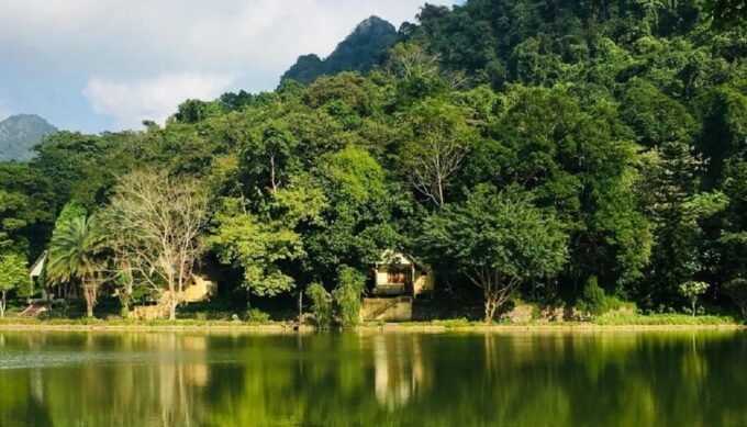Ninh Binh: Cuc Phuong National Park One Day Small Group Tour - Pricing and Duration