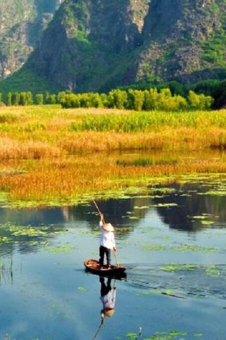 Ninh Binh: Cuc Phuong National Park One Day Small Group Tour - Transportation and Guide