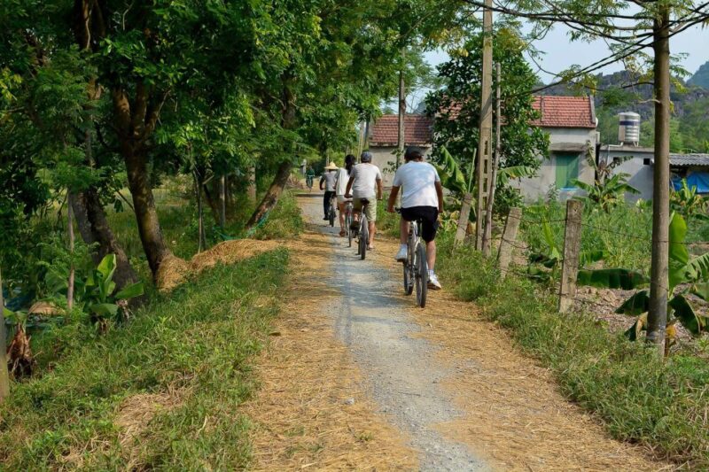 Ninh Binh Daily: Hoa Lu, Mua Cave, Tam Coc, Bike & Swimming - Pickup and Drop-off