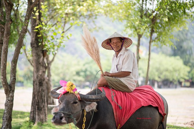 Ninh Binh Daily Tour: Hoa Lu - Tam Coc Boat Trip and Bike - Transportation and Logistics