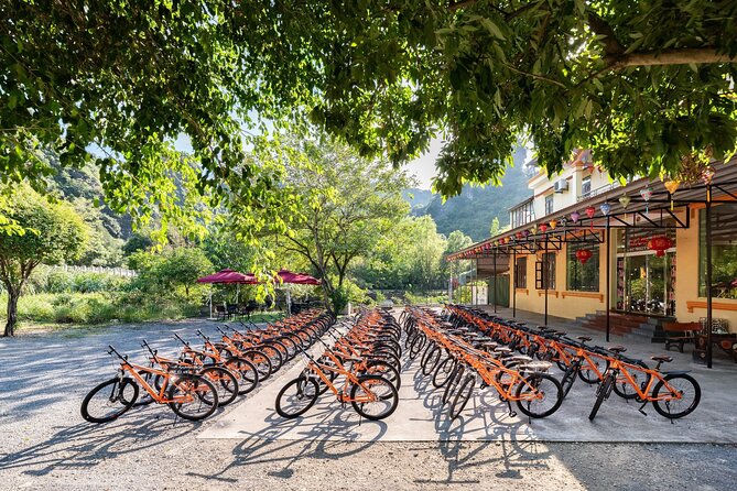Ninh Binh Day Trip: Bai Dinh-Trang An-Mua Cave, Buffet, Boat, Bus - Policies