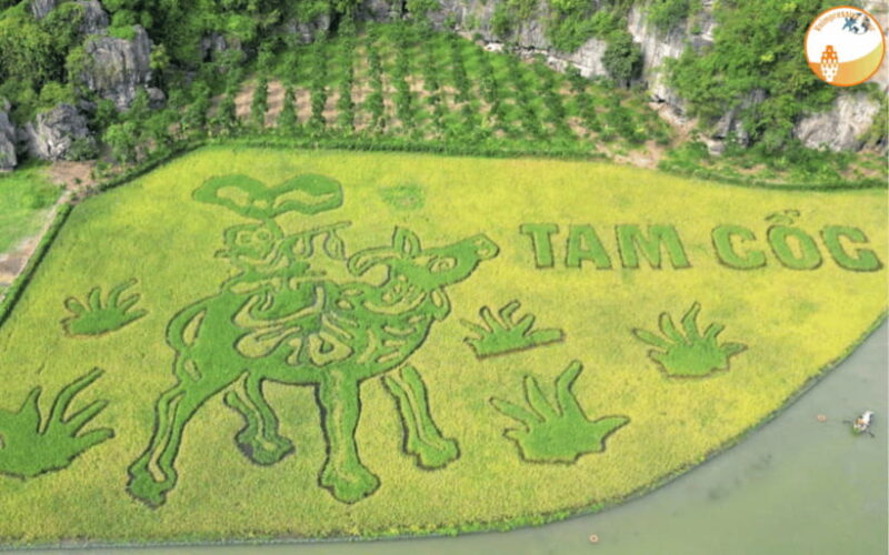 NINH BINH DAY TRIP: HOA LU,MUA CAVES &THUNG NHAM BIRD VALLEY - Itinerary and Activities