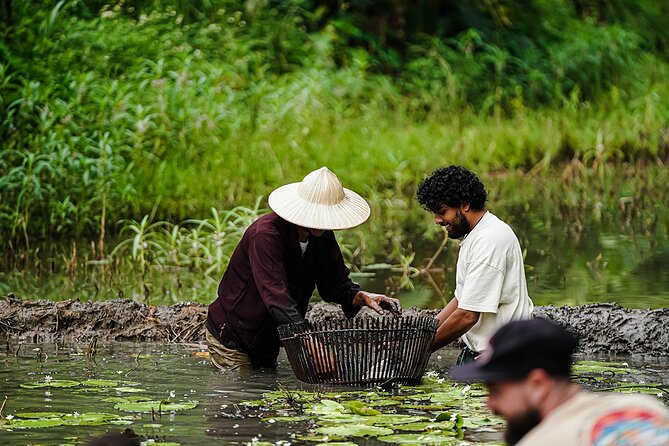 Ninh Binh Eco Group Tour - Buffalo Riding, Rice Planting, Fishing - Breathtaking Landscapes