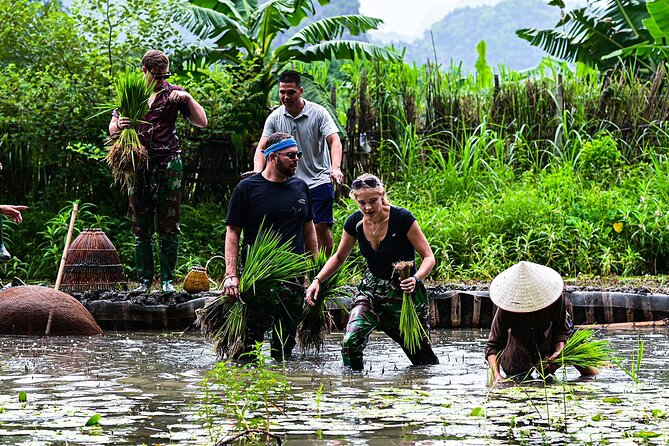 Ninh Binh Eco Group Tour - Buffalo Riding, Rice Planting, Fishing - Health and Safety Considerations