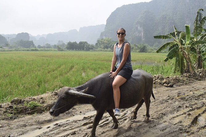 Ninh Binh Eco Group Tour - Buffalo Riding, Rice Planting, Fishing - Why Choose This Tour