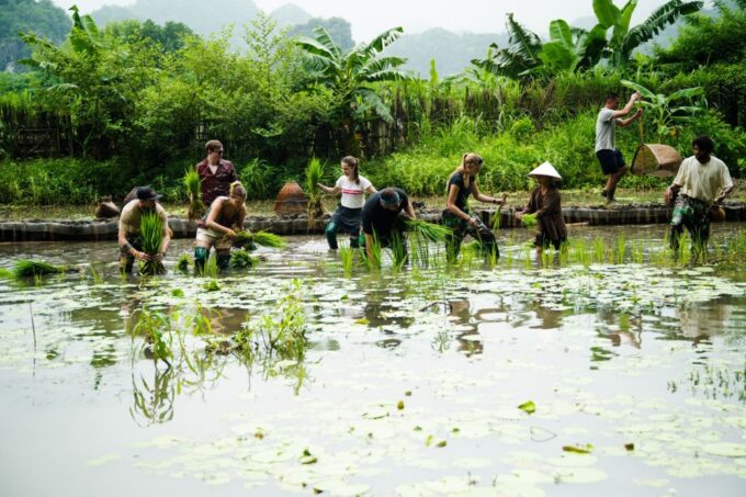 Ninh Binh Farm Trip: Experience the Authentic Rural Life - Frequently Asked Questions