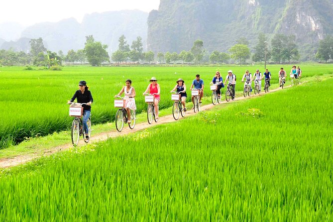 Ninh Binh Full Day-Hoa Lu Temple & Biking, Tam Coc Boat Trip, Dragon Mountain - Inclusions and Services