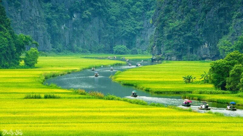 Ninh Binh Full Day - Mua Cave - Tam Coc Boating - Hoa Lu - Itinerary Highlights