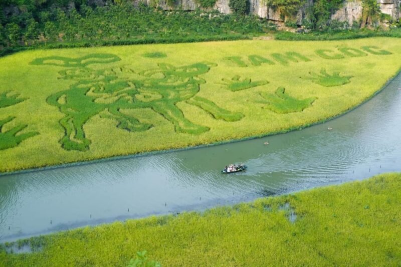 Ninh Binh Full-Day Small Group of 11 Guided Tour From Hanoi - Key Points