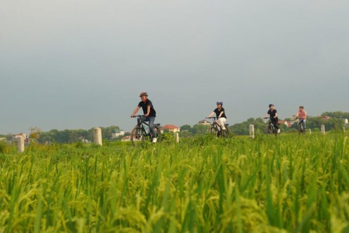 Ninh Binh: Full-Day Small Group of 9 Guided Tour From Hanoi - Pickup and Return Times