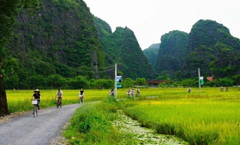 Ninh Binh Full Day Tour to Tam Coc Hoa Lu Small Group Buffet - Immersive Countryside