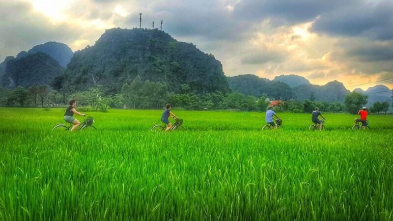 Ninh Binh Full Day Tour to Tam Coc Hoa Lu Small Group Buffet - Buffet Lunch