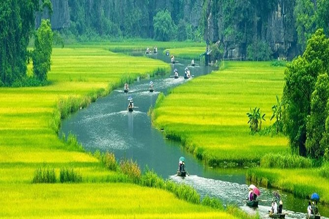 Ninh Binh Full Day Tour:Hoa Lu Tam Coc: Cycling,Boat,Buffet Lunch,Limousine Bus - Pickup and Drop-off Details