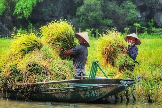 Ninh Binh Full Day Tour:Hoa Lu Tam Coc: Cycling,Boat,Buffet Lunch,Limousine Bus - Cancellation Policy