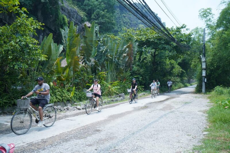 Ninh Binh Full Day Trip to Hoa Lu - Trang an - Mua Cave - Inclusions