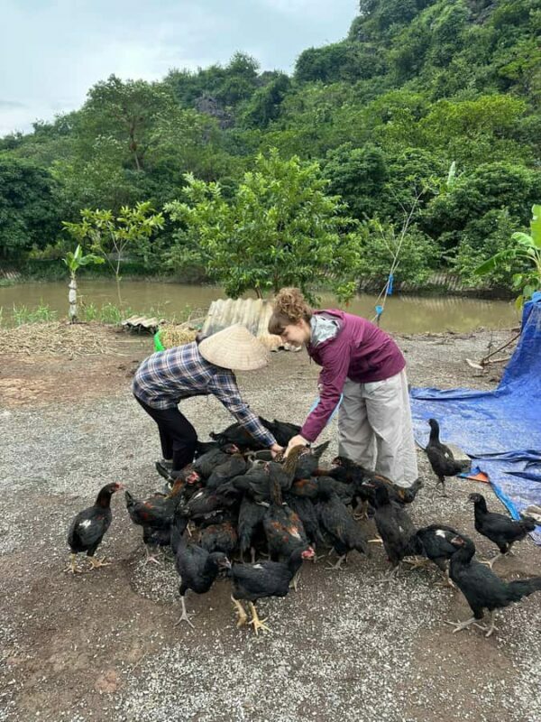 Ninh Binh: Half-Day Cooking Class at a Local Home - How the Experience Unfolds