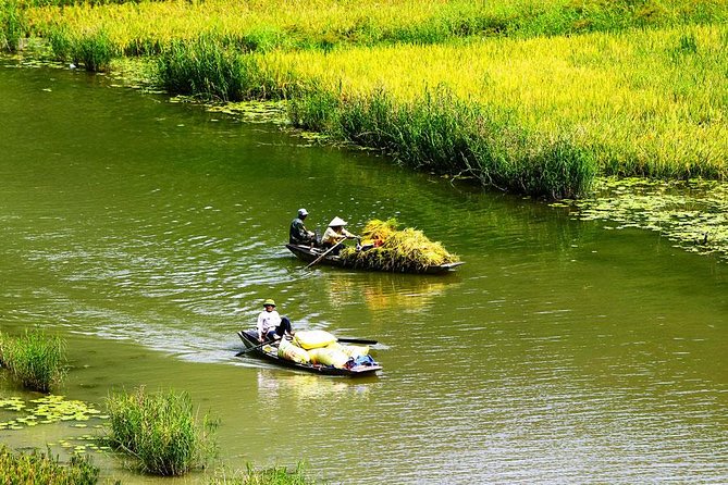 Ninh Binh-Hoa Lu-Tam Coc - Mua Cave - Dragon Mountain Hiking 1 Day Tour - Additional Tour Options