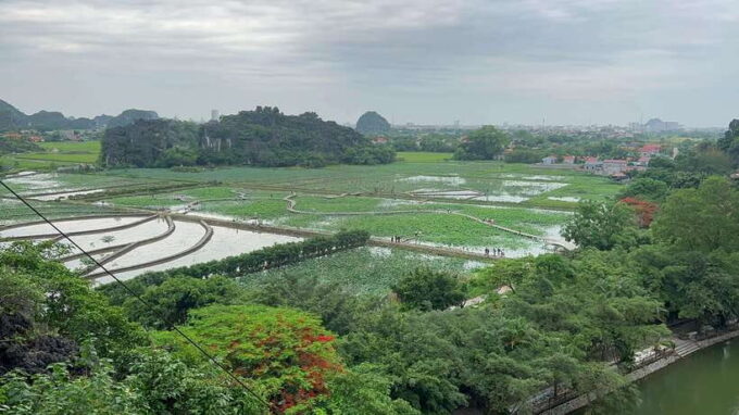 Ninh Binh: Hoa Lu, Tam Coc, Mua Cave Group Tour From Hanoi - Boat Trip Through the Caves of Tam Coc