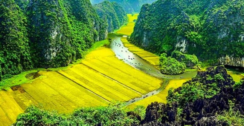 Ninh Binh: Hoa Lu, Trang An, and Mua Cave Full-Day Trip - Hoa Lu Ancient Capital