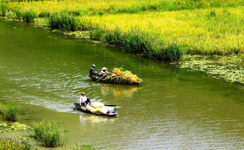 Ninh Binh: Hoa Lu, Trang An and Mua Caves Hiking Day Trip - Hoa Lu Exploration