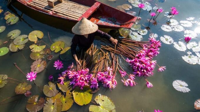 Ninh Binh: Hoa Lu, Trang An & Hang Mua Trip by Limousine Bus - Free Cancellation
