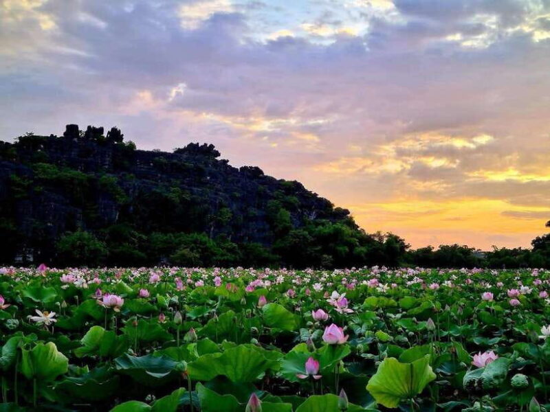 Ninh Binh: Hoa Lu- Trang An- Mua Cave Small Group Daily Tour - Inclusions