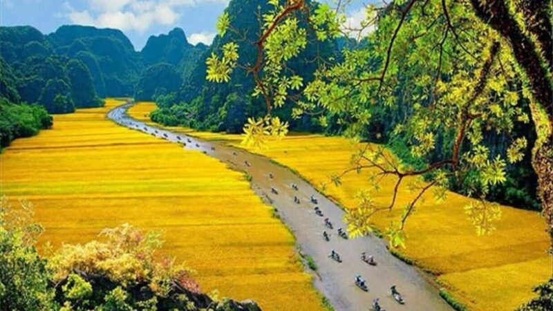 Ninh Binh: Hoa Lu- Trang An- Mua Cave Small Group Daily Tour - Tour Experience