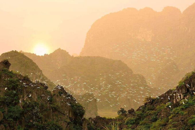 Ninh Binh Jeep Tour: Tam Coc HIGHTLIGHTS & HIDDEN GEMS - Thai Vi Temple