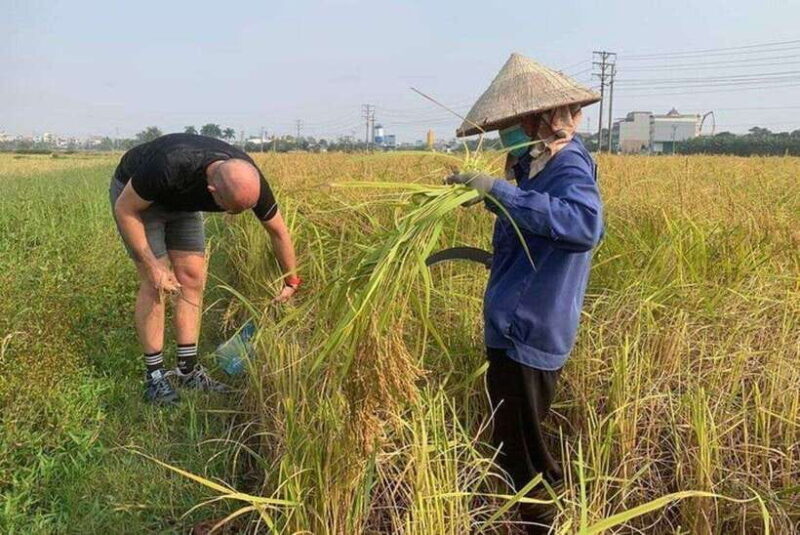 Ninh Binh Jeep Tours From Hanoi: JEEP - BOAT - DAILY LIFE - Frequently Asked Questions