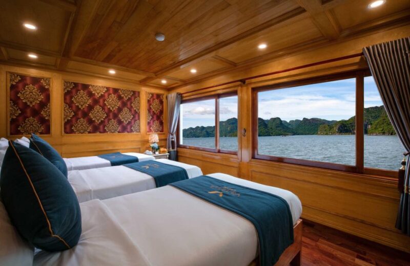 Ninh Binh: Lan Ha Bay Cozy Cruises, Small Group,Kayak & Bike - Exploring Cat Ba National Park