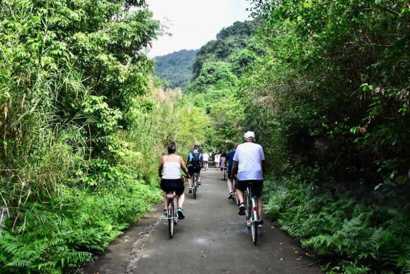 Ninh Binh: Lan Ha, Halong Bay Classic Cruises, Small Group - Customer Feedback and Ratings