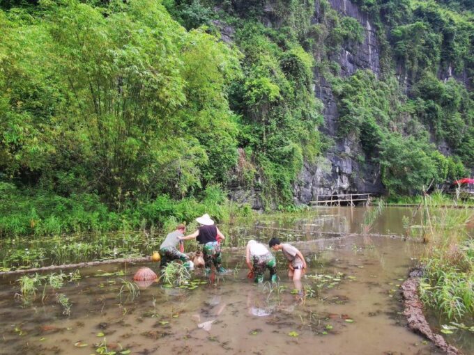 Ninh Binh: Local Farm Trip & Cycling and Cooking Class - Frequently Asked Questions