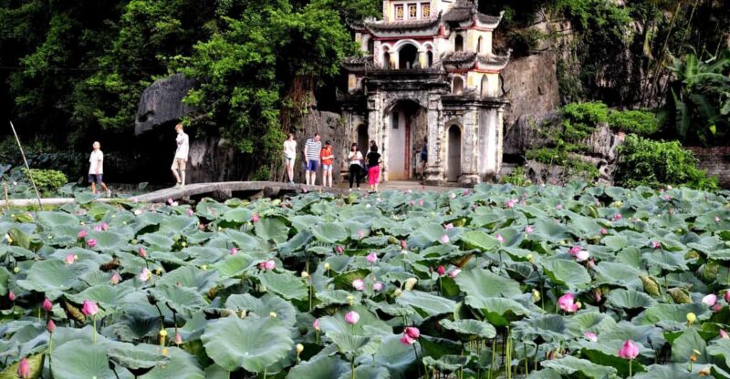 Ninh Binh Luxury 1 Day Tour: Trang An, Mua Cave, Bich Dong - Morning Activities