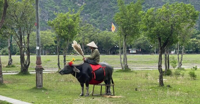 Ninh Binh Luxury Day Tour From Hanoi (Trang an - Hoa Lu) - Optional Add-ons