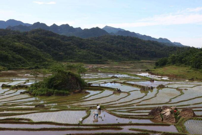 Ninh Binh Luxury Tour: Hoa Lu, Mua Hike, Tam Coc Boat - Bike Tour Through Villages and Rice Fields