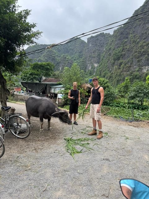 Ninh Binh Motorbike Tour - Nature and Wildlife