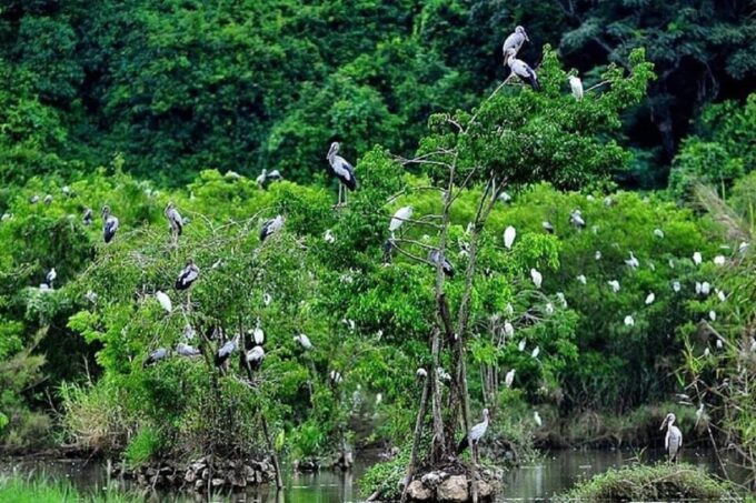 Ninh Binh Motorbike Tour - Important Information