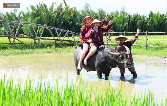 Ninh Binh Motorbike Tour - Additional Notes