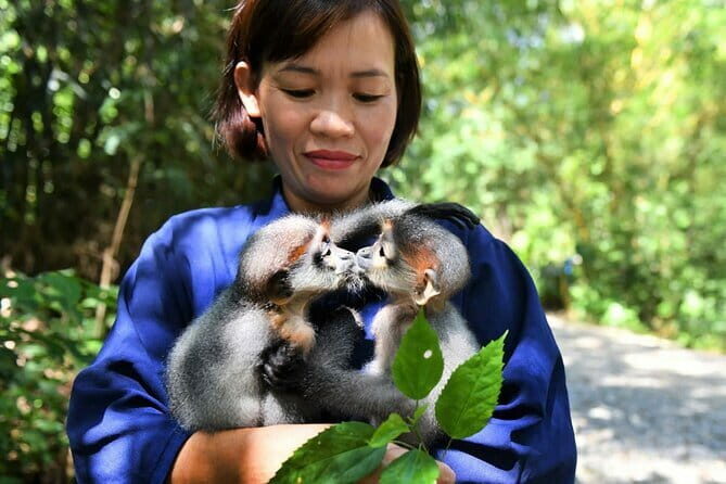 Ninh Binh One Day Cuc Phuong National Park Small Group Tour - Key Points