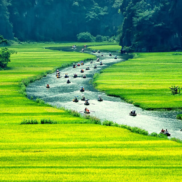 Ninh Binh Private Tour: Tam Coc, Bich Dong and Thung Nham - Transportation and Guide