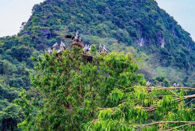 Ninh Binh Private Tour: Tam Coc, Bich Dong and Thung Nham - Exclusions